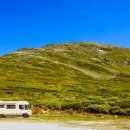 카매니지먼트 이미지