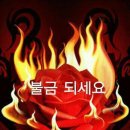 모두모아 - 군포시 금재로12번길 29 | 모두모아