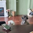 백번길 게스트하우스 이미지