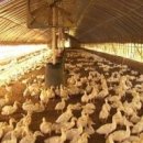 이엠축산 이미지