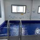 드림키즈풀빌라 화이트블루 이미지