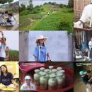 형제목장2 이미지