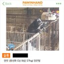 새한주유소 이미지