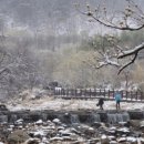 달전시목지 이미지