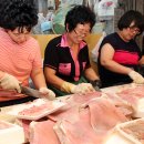 대인홍어 이미지