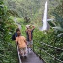 화산농장 이미지