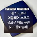 (주)더블소프트 | 에스티 로더 더블웨어 소프트 글로우 매트 쿠션 내돈내산 후기 (+색상, 발색사진 有)