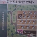 [인천 캠핑장] 수영장 있는 영흥도 하버드 카라반