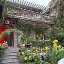 플러스비 | [내돈내산] 크리스마스데이트 추천! 카페 비플러스 애견동반 후기