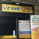동광리-8 | 제주도 2박 3일 여행기 | 2일차(상) – 오는정김밥, 동광리 수국길, 옥돔식당 보말칼국수