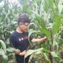 가래울농장 이미지