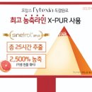 자몽뷰티