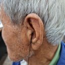 시그니아 독일보청기 광산센타 이미지