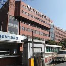 감정초교 이미지