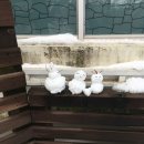 김원태 | 🍊내사랑제주도🍊