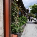 어진교차로 | 전주 여행 후기 1박2일 코스 총정리 (맛집, 카페, 경기전, 한옥마을)