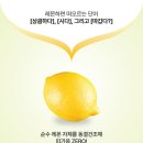레몬스킨케어 네이버블로그