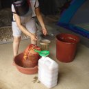 동일농약사 이미지