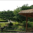 남산카써비스 이미지