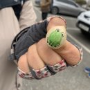 청양 협동조합 위로숲 절기산행 경칩
