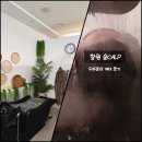 제이제이인터내셔날 | 창원 중앙동 두피관리 케어 전문점 숲칼프