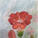 깜헤어샵 이미지