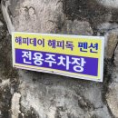 경주애견펜션 해피데이해피독 이미지