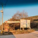 화강황토 네이버블로그