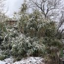 포시즌민박 이미지