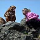 트릭아트뮤지엄 이미지