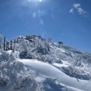 50번째 크리스마스 이미지