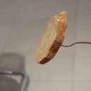 윤쉐프정직한제빵소 검단점