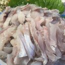 앗싸수산 네이버블로그