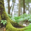 제천자동차종합서비스 이미지