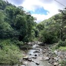 치악산둘레길 2코스 구룡길 | 치악산둘레길 제2코스 구룡길