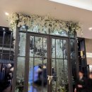 더블유(W) | 분당 웨딩홀 더블유힐스컨벤션 W힐스컨벤션 주차 홀 뷔페 후기