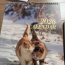 고양이 보호 협회 달력 넘 귀요미들이에요 이미지