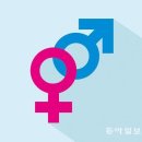 성비 이미지