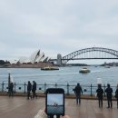 폭스관광호텔 | 호주 4박 5일 패키지 여행 후기