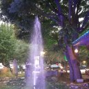 화도왕오리 이미지