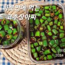 하룻만에 먹는 제철 고추장아찌 이미지