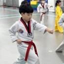 계명대 포세이돈 태권도장 이미지