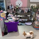 피터펫 미사점 이미지