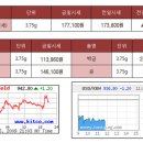 2009년 2월17일 오늘의 금시세 -+ 이미지