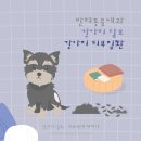 하나동물의료센터 이미지