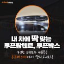 루프더루프 이미지