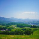 ⛺ 계절별 캠핑지 추천 및 방문 후기 (봄/여름/가을/겨울)