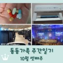 나서울은혜교회 | 주간일기 10월 셋째주 / 헬리코박터균 제균치료 / PT 시작 / 모나미 153 S펜 / 충무교회 80주년 음악회