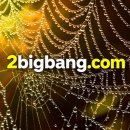 덫을 놓는 주체에 대해 정동희가 이야기한다 【 Zheng Dong-hee 】 덫을 놓는 주체에 대해 정동희가 이야기한다 거미는 거 이미지