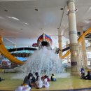 동남사우나 | 천안 소노벨 대명리조트 겨울 워터파크 오션어드벤처 음식 준비물 후기